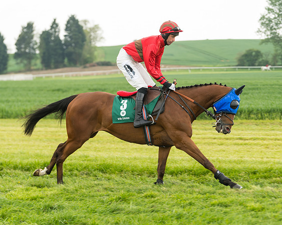 Race 2 - Intermediate (22 of 113)