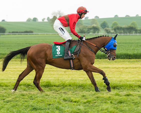 Race 2 - Intermediate (24 of 113)