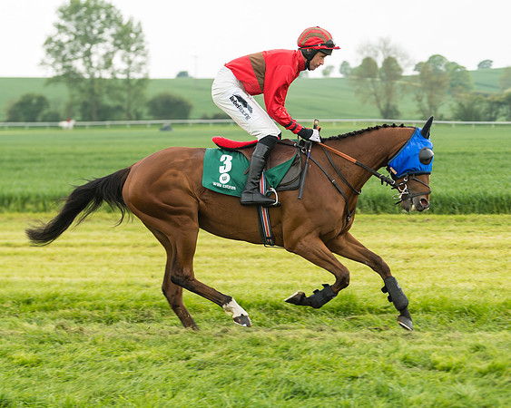 Race 2 - Intermediate (23 of 113)