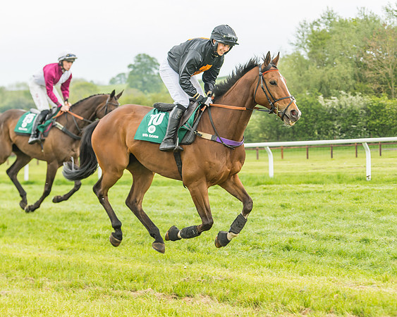 Race 4 - Novice RIders (6 of 184)