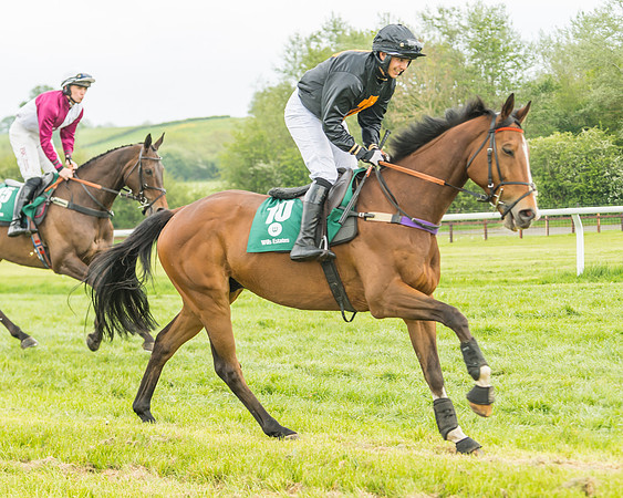 Race 4 - Novice RIders (8 of 184)