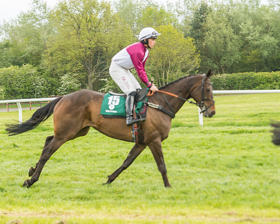 Race 4 - Novice RIders (9 of 184)