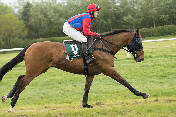 Race 4 - Novice RIders (23 of 184)