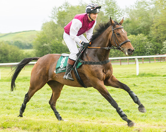 Race 4 - Novice RIders (28 of 184)