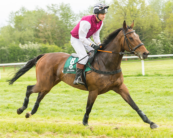 Race 4 - Novice RIders (29 of 184)