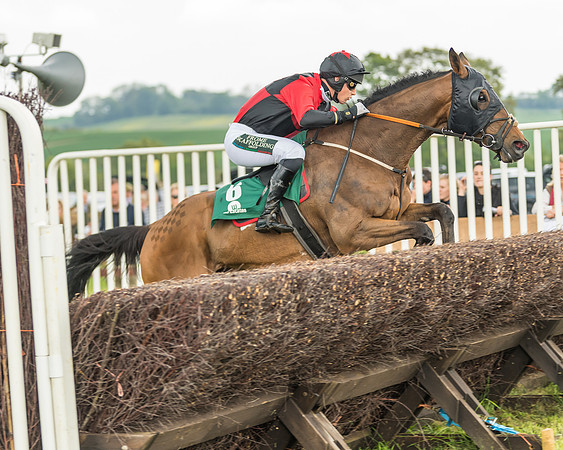 Race 4 - Novice RIders (88 of 184)