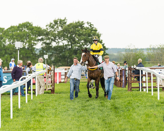 Race 5 - Restricted Race (5 of 118)