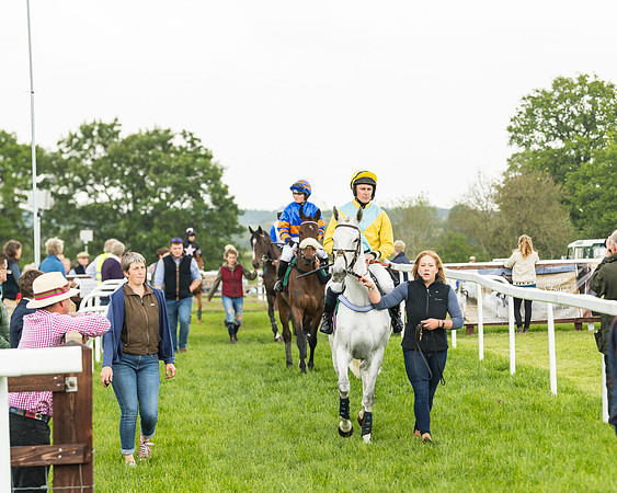 Race 5 - Restricted Race (9 of 118)