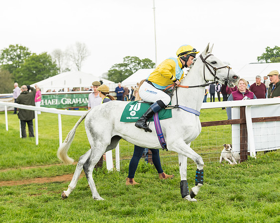 Race 5 - Restricted Race (12 of 118)