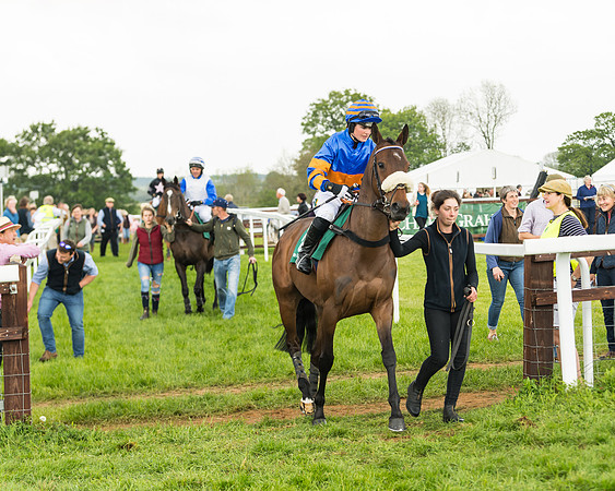 Race 5 - Restricted Race (17 of 118)