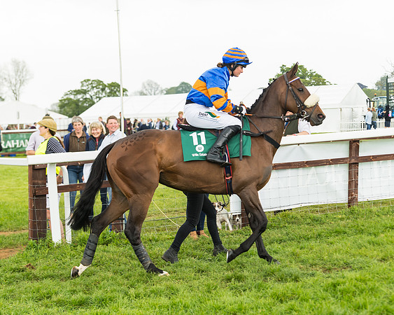 Race 5 - Restricted Race (18 of 118)