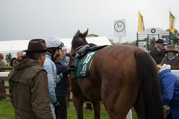 Race 6 - Open Maiden (94 of 121)