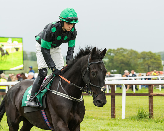 Race 7 - PPORA Conditions  (20 of 160)