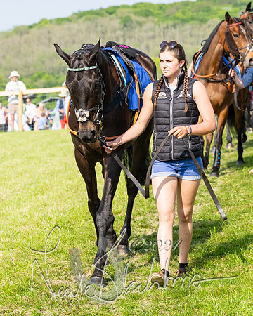 Race 5  - Maiden race 2m5F Div-2 (23 of 205)