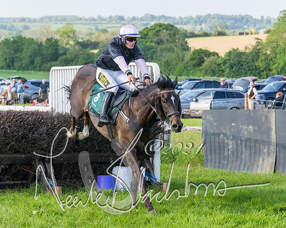 Race 7 - Veteran Horse (164 of 246)