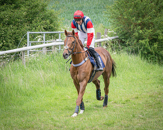 Race 2 - The Restricted race (7 of 84)