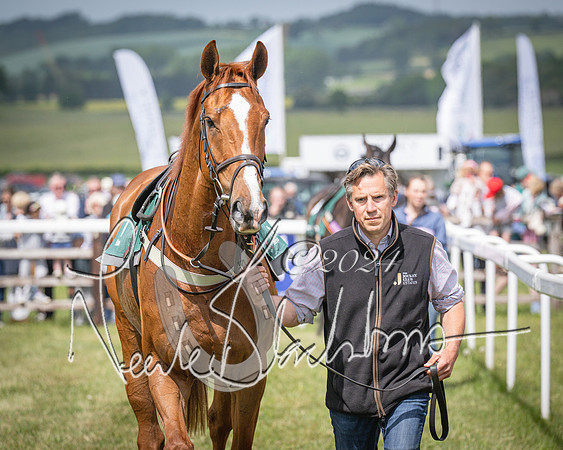 Race 1 - the Grafton adjacent hunts conditions race (level 2) (16 of 120)