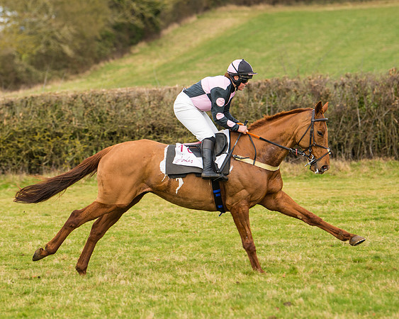 Race 3 - Restricted  (25 of 100)