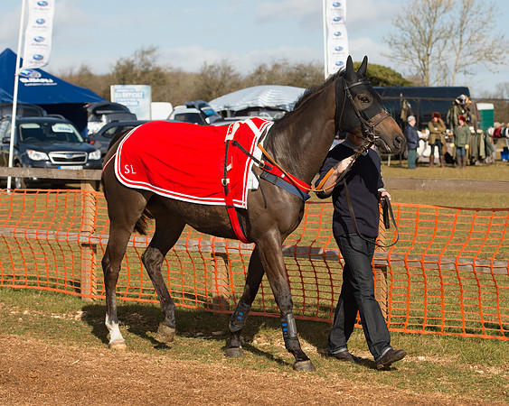 Race 1 - 4-5-6 Maiden (27 of 119).jpg