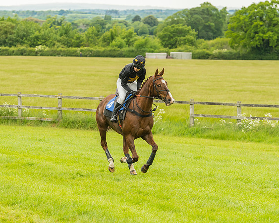 Race 2 - Novice Riders  (68 of 235)