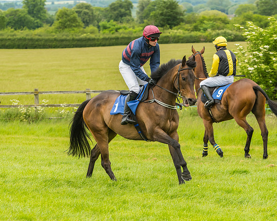Race 2 - Novice Riders  (86 of 235)
