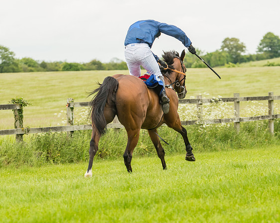 Race 3  - Intermediate (110 of 165)