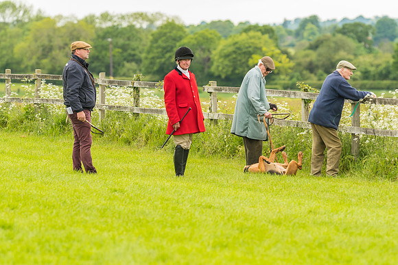 Race 4 - Hound Race  (7 of 139)
