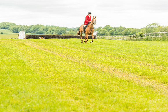 Race 4 - Hound Race  (43 of 139)