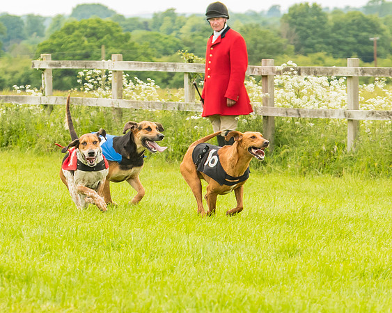 Race 4 - Hound Race  (57 of 139)