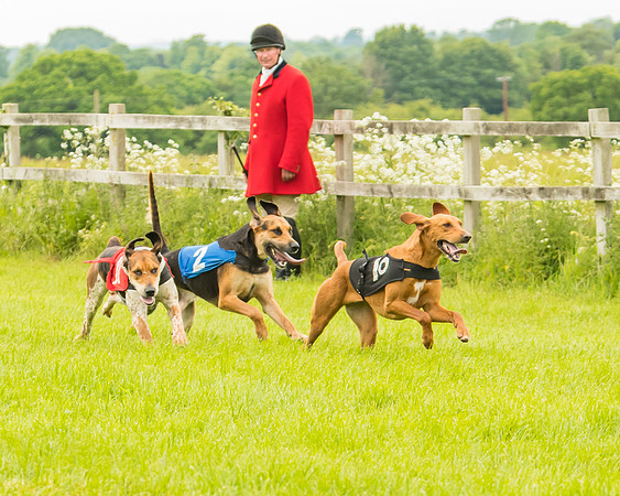 Race 4 - Hound Race  (58 of 139)
