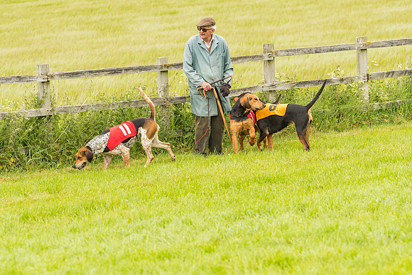 Race 4 - Hound Race  (93 of 139)