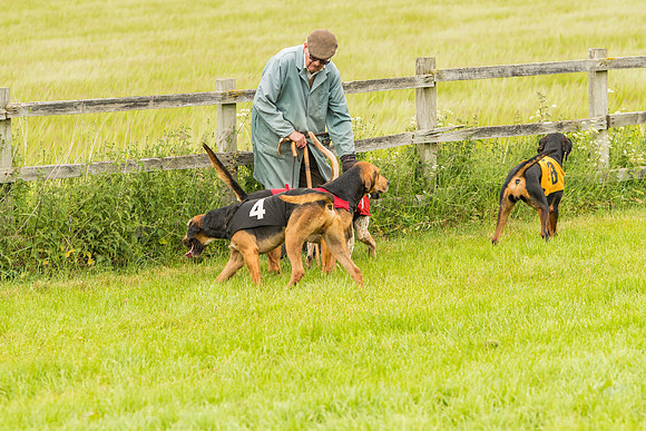 Race 4 - Hound Race  (95 of 139)