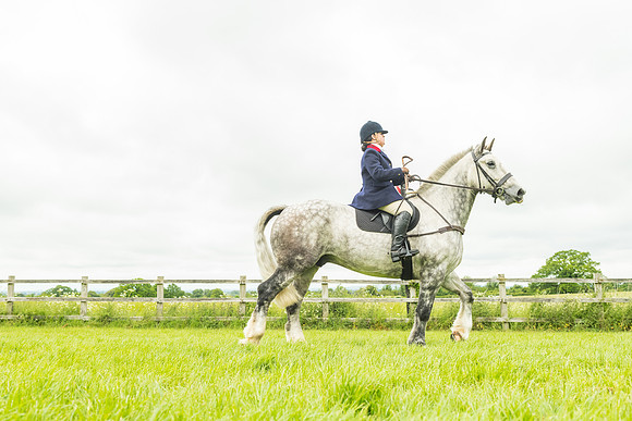 Race 4 - Hound Race  (96 of 139)