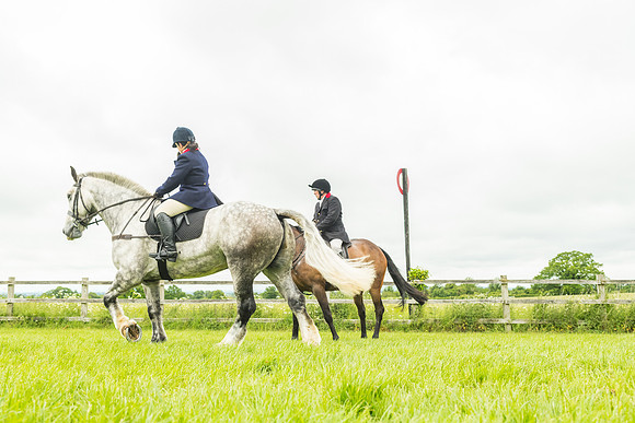 Race 4 - Hound Race  (100 of 139)