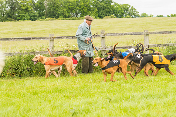 Race 4 - Hound Race  (102 of 139)