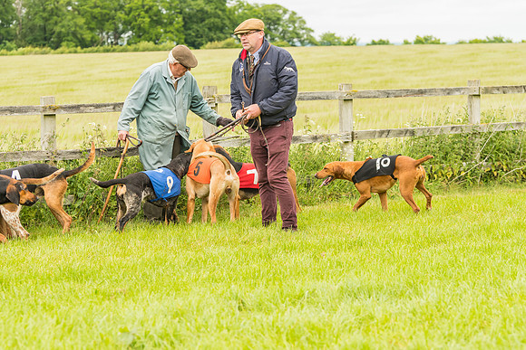 Race 4 - Hound Race  (110 of 139)