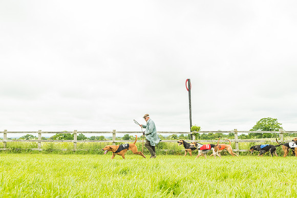 Race 4 - Hound Race  (113 of 139)