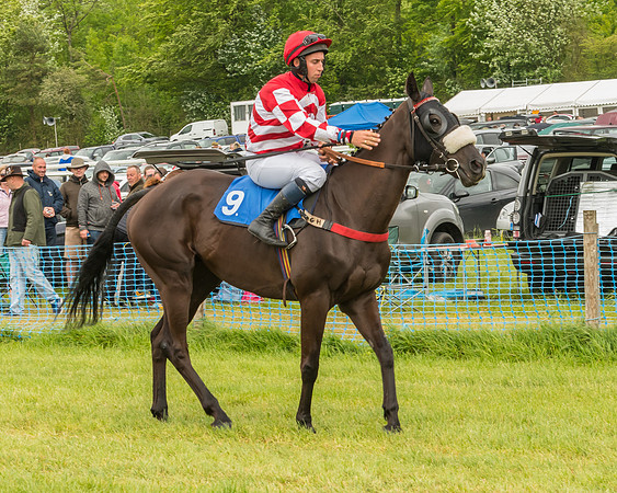 Race 5  - Mixed Open (9 of 140)