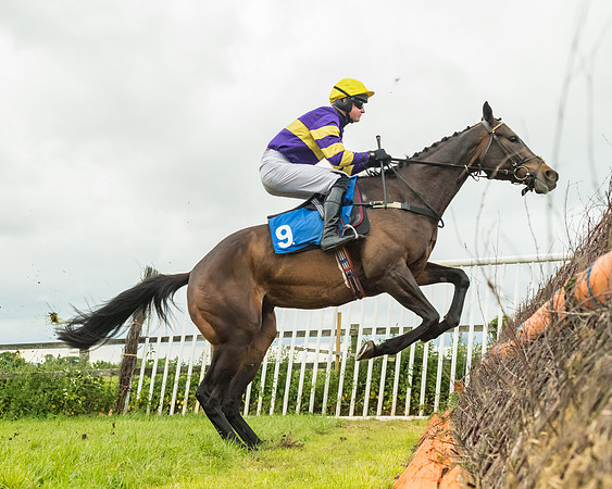 Race 6 - Restricted  (21 of 128)