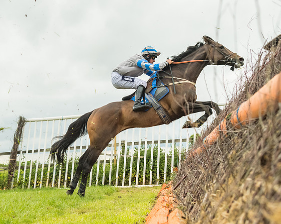 Race 6 - Restricted  (55 of 128)