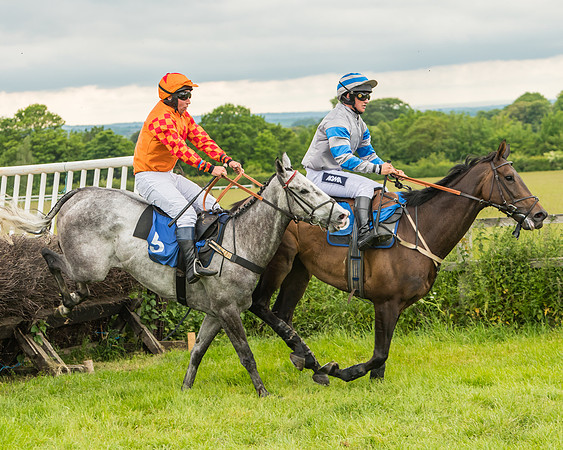 Race 6 - Restricted  (96 of 128)
