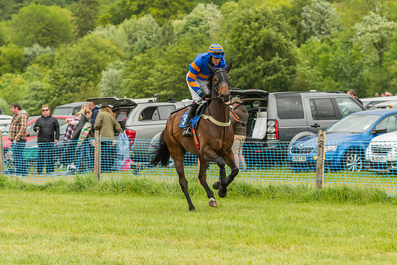 Race 7 - Open Maiden  (3 of 175)