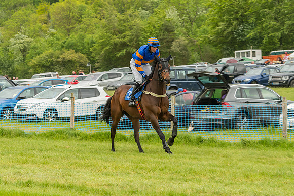 Race 7 - Open Maiden  (4 of 175)