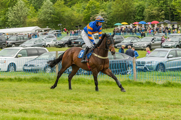 Race 7 - Open Maiden  (6 of 175)