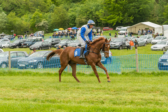 Race 7 - Open Maiden  (9 of 175)