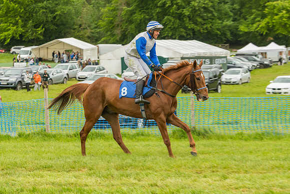 Race 7 - Open Maiden  (11 of 175)