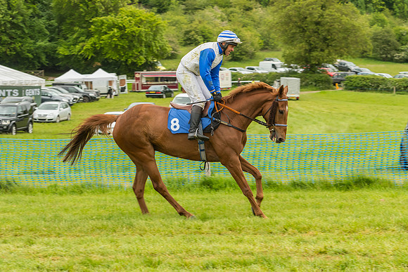 Race 7 - Open Maiden  (13 of 175)