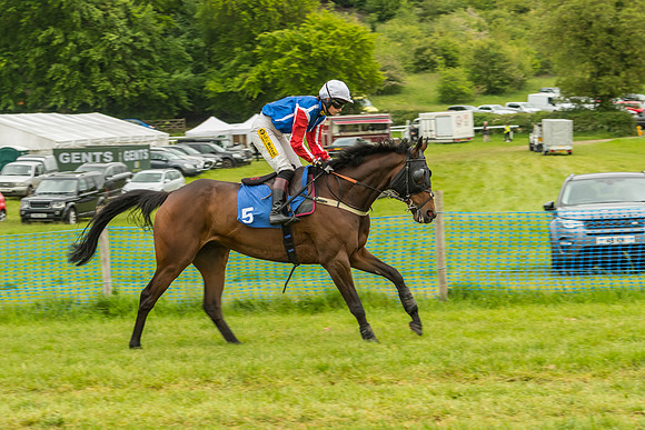 Race 7 - Open Maiden  (16 of 175)
