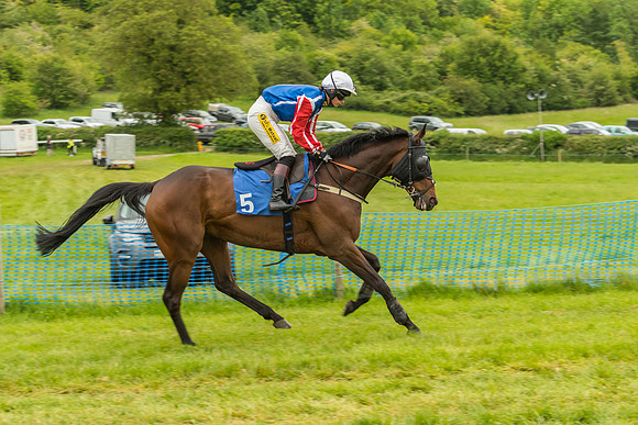 Race 7 - Open Maiden  (19 of 175)