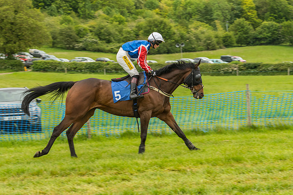 Race 7 - Open Maiden  (20 of 175)